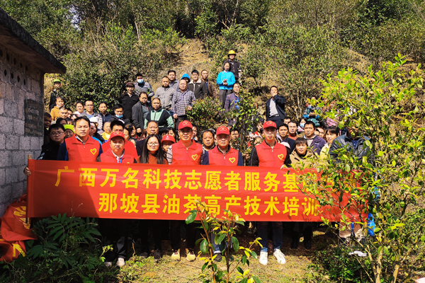 图片24.png