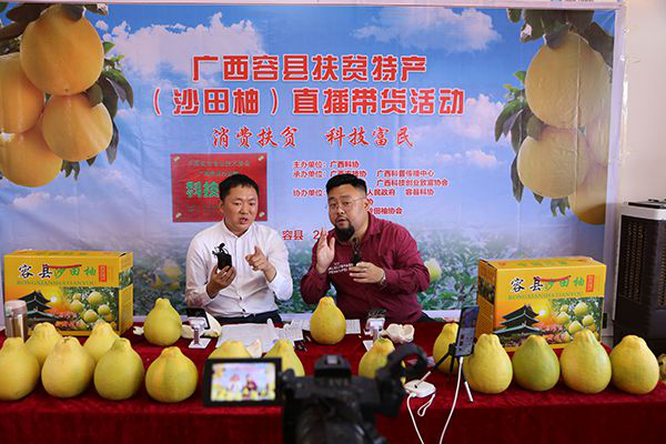 图片26.png