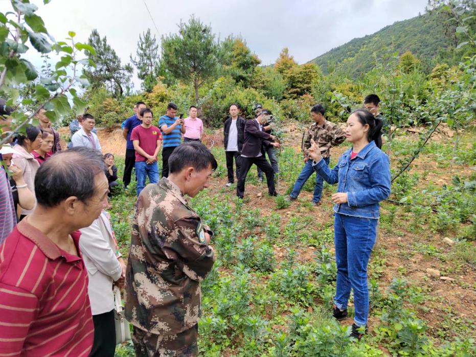 何建群获中国农技协 “最美科技工作者”称号
